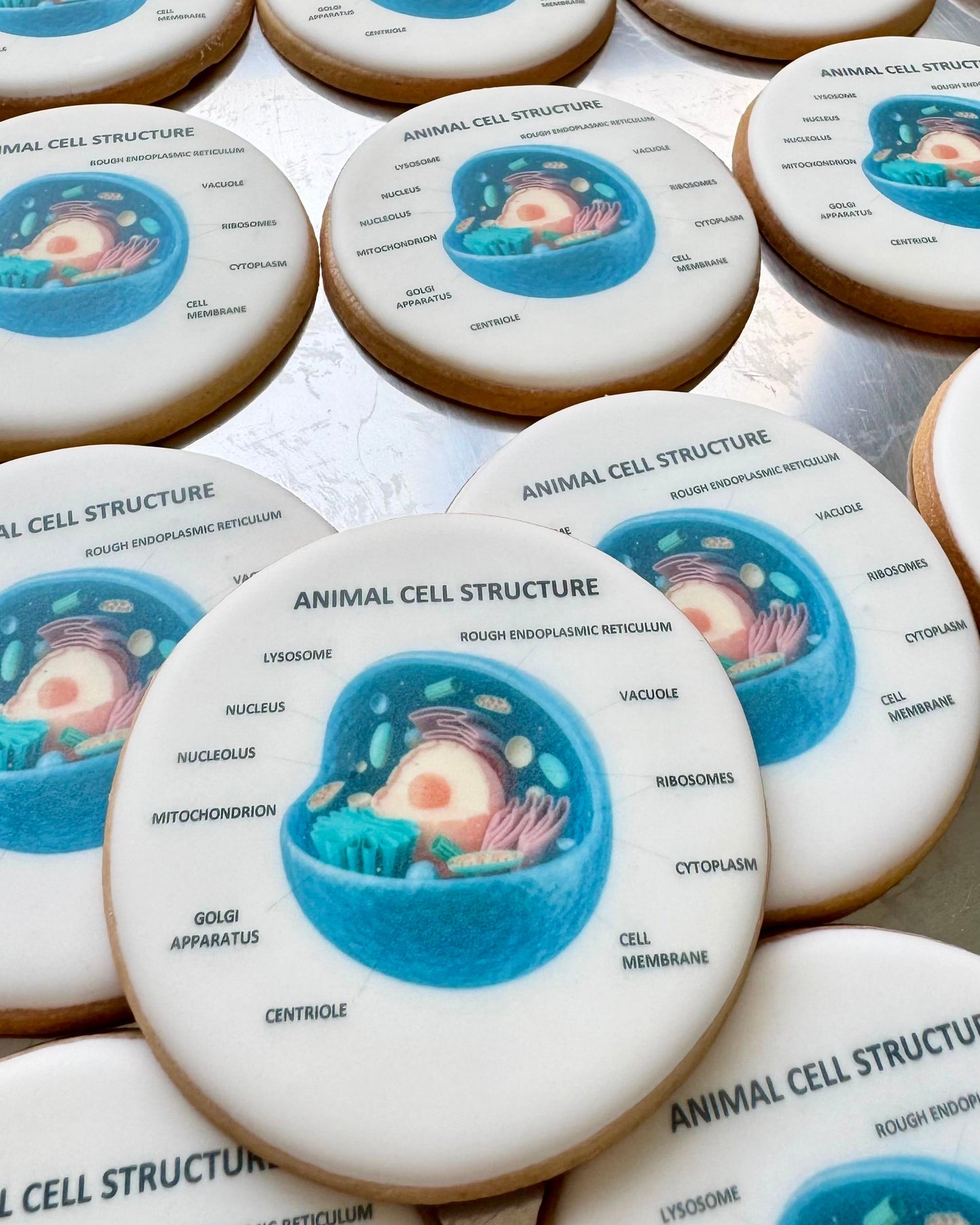 CORPORATE - HEALTHCARE 💊 PRINTED COOKIES