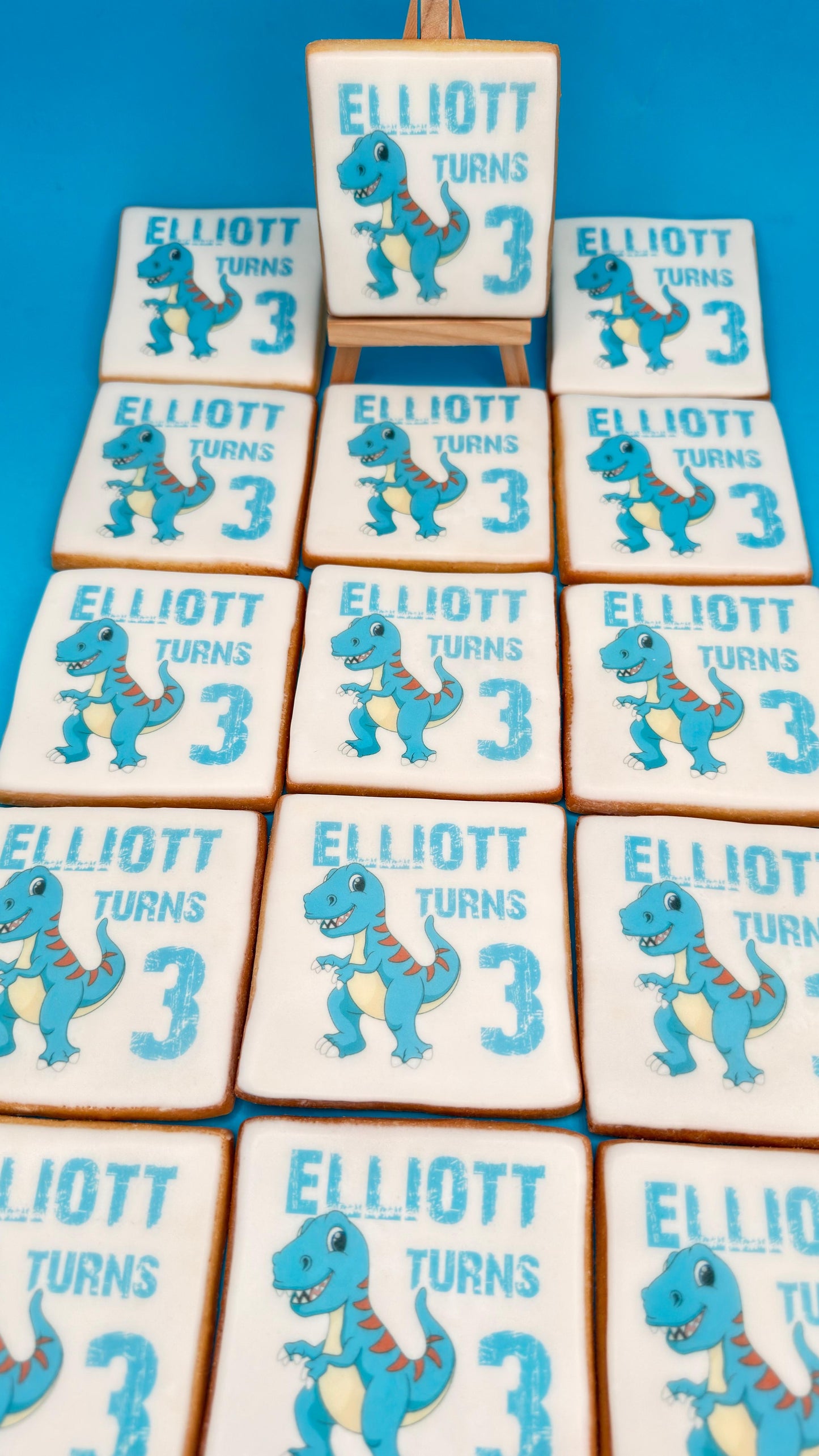 DINOSAURS 🦖 PRINTED COOKIES