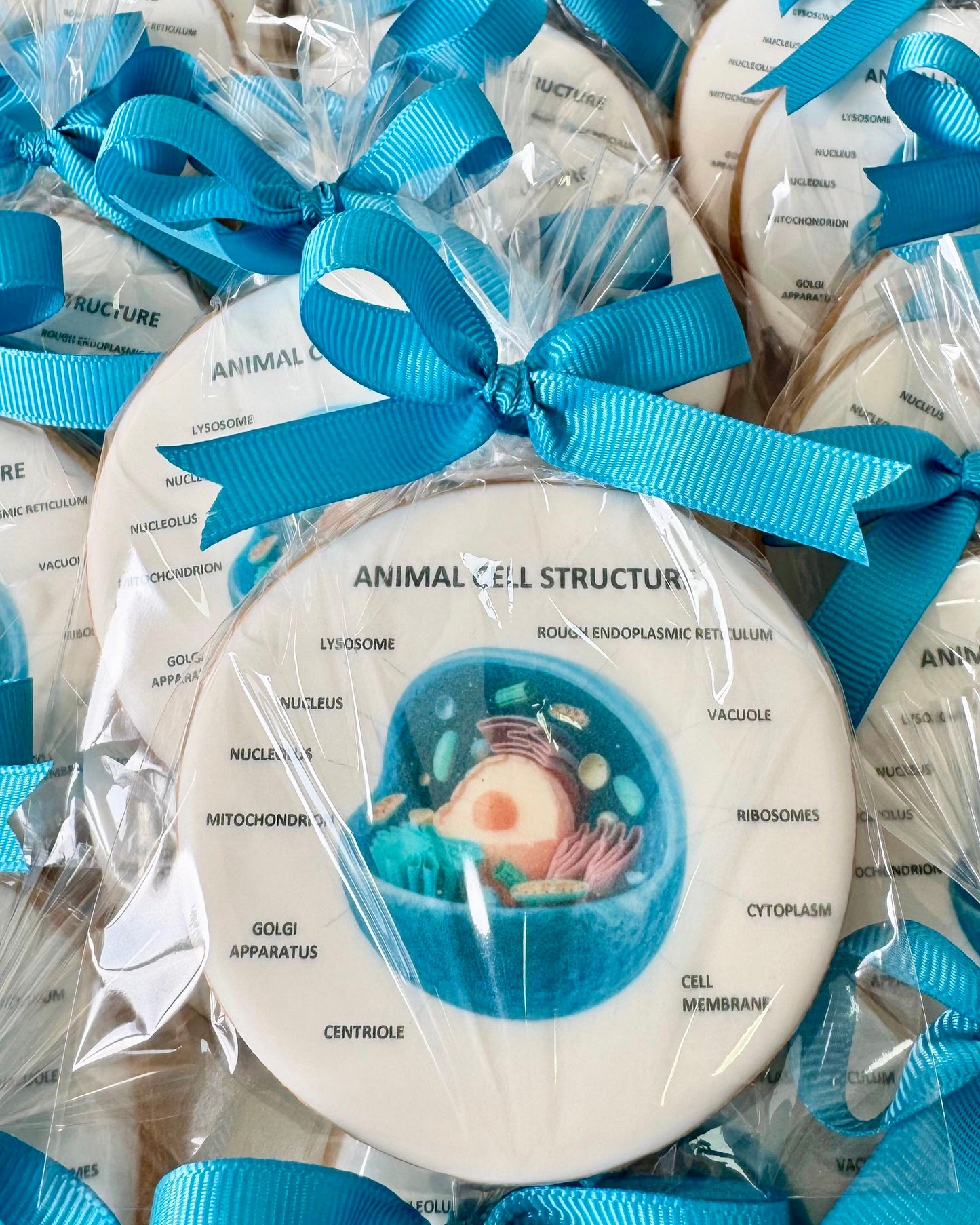 CORPORATE - HEALTHCARE 💊 PRINTED COOKIES