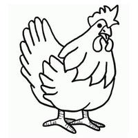 Design 22