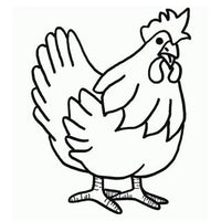 Design 22