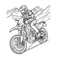 bikes 1