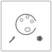 Design 2
