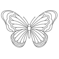 Design 6