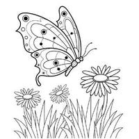 Design 5