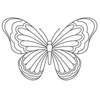 Design 6