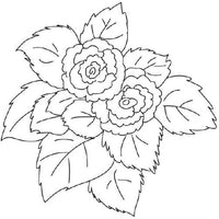 Design 5