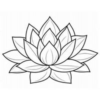 Design 15
