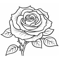 Design 4