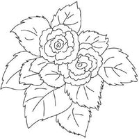Design 5