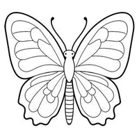 Design 6