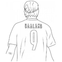 Design 15