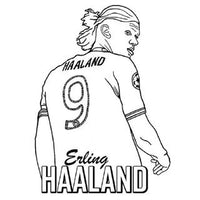 Design 14