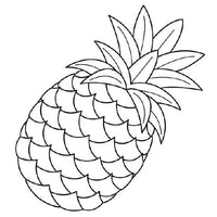 Design 13