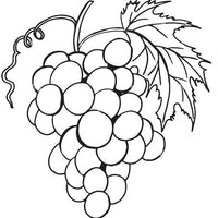 Design 19