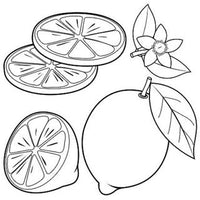 Design 2