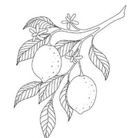 Design 21