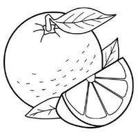 Design 5