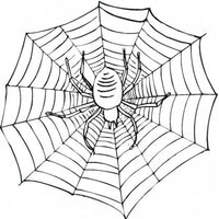 Design 24