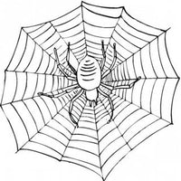 Design 24