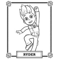 Design 11