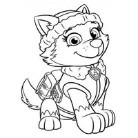 Design 15