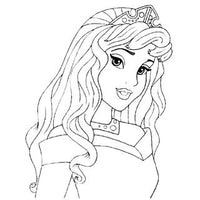 Design 13